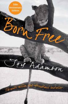 Born Free: A Lioness of Two Worlds