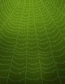 Druids of Avalon - The Legend