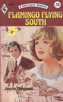 Flamingo Flying South