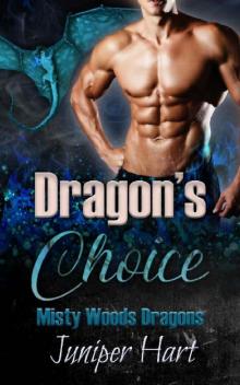 Dragon's Choice