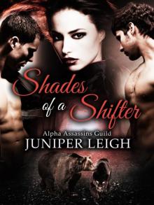 Shades of a Shifter