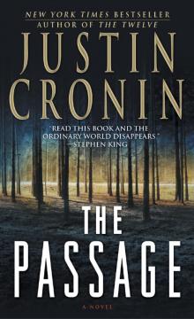 The Passage: A Novel The Passage: A Novel