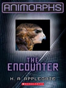 The Encounter The Encounter