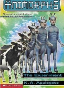 The Experiment