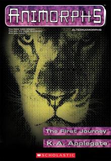 The First Journey The First Journey