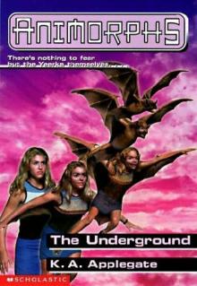 The Underground The Underground