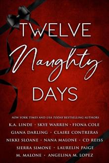 Twelve Naughty Days: A Steamy Holiday Romance Anthology