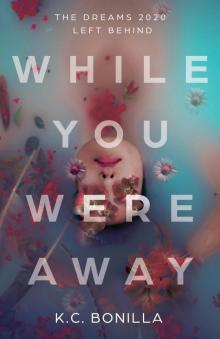 While You Were Away While You Were Away