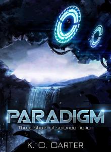 Paradigm Paradigm