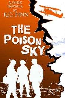 The Poison Sky: Synsk 2.5