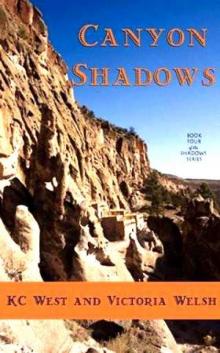Shadows 04 Canyon Shadows Shadows 04 Canyon Shadows