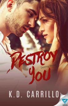 Destroy You (Destroy #3) Destroy You (Destroy #3)