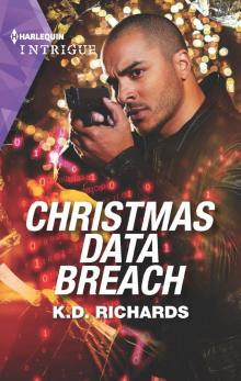 Christmas Data Breach Christmas Data Breach