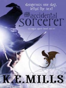 The Accidental Sorcerer The Accidental Sorcerer