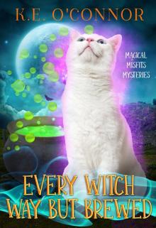 Every Witch Way but Brewed (Magical Misfits Mysteries Book 14)