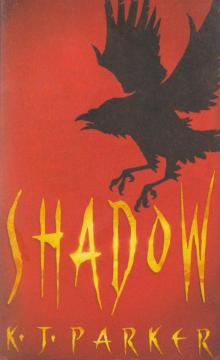 Shadow s-1