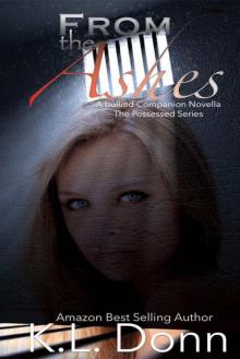 From the Ashes: A bullied Companion Novella (Possessed #2.5)
