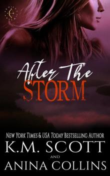 After The Storm After The Storm