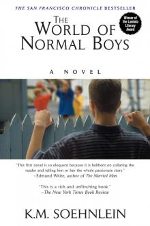 The World of Normal Boys The World of Normal Boys