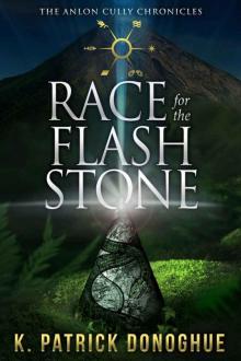 Race for the Flash Stone (The Anlon Cully Chronicles Book 2)
