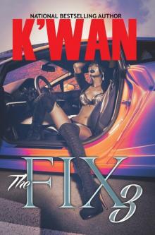 The Fix 3 The Fix 3
