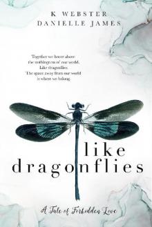 Like Dragonflies Like Dragonflies