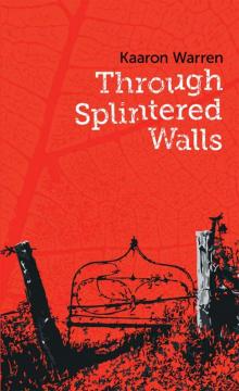 Through Splintered Walls Through Splintered Walls
