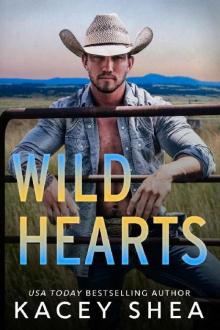 Wild Hearts: A second chance, small town, single dad romance