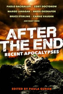 After the End: Recent Apocalypses After the End: Recent Apocalypses