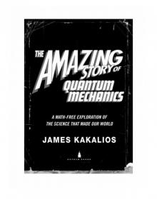 The Amazing Story of Quantum Mechanics The Amazing Story of Quantum Mechanics