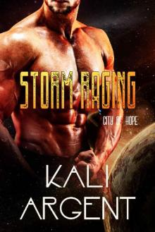 Storm Raging (City of Hope Book 4) Storm Raging (City of Hope Book 4)