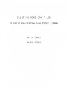 Sleeping Dogs Don't Lie