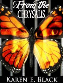 From the Chrysalis: a novel From the Chrysalis: a novel