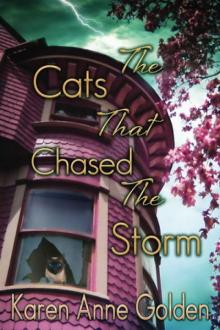 2 The Cats That Chased the Storm 2 The Cats That Chased the Storm