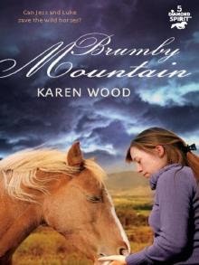 Brumby Mountain Brumby Mountain