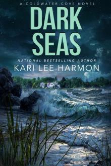 Dark Seas Dark Seas