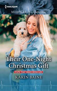 Their One-Night Christmas Gift Their One-Night Christmas Gift