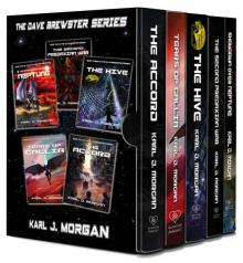 The Dave Brewster Series The Dave Brewster Series