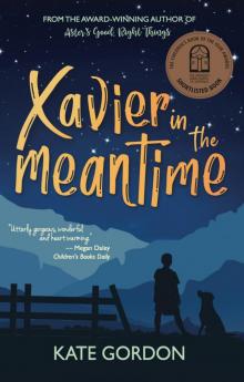 Xavier in the Meantime