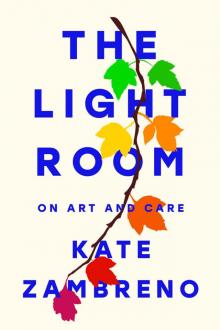 The Light Room The Light Room