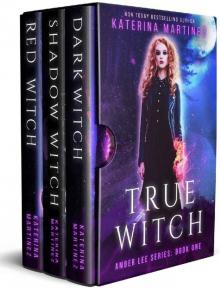 The Amber Lee Boxed Set The Amber Lee Boxed Set