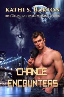 Chance Encounters Chance Encounters