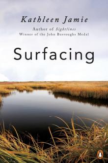 Surfacing