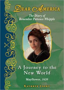 A Journey to the New World A Journey to the New World