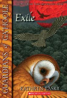 Exile Exile