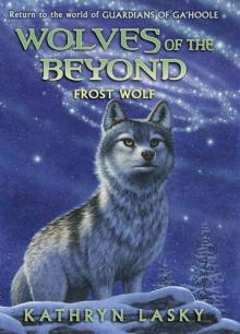 Frost Wolf Frost Wolf