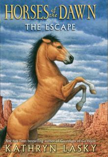 The Escape The Escape
