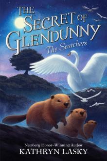 The Secret of Glendunny #2 The Secret of Glendunny #2