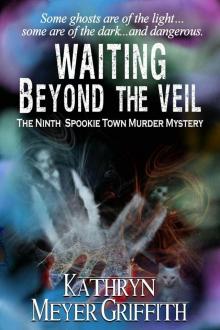 Waiting Beyond the Veil Waiting Beyond the Veil