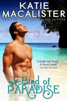 Bird of Paradise Bird of Paradise